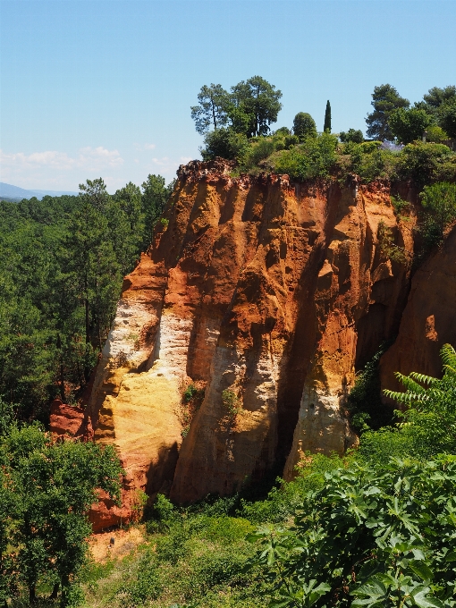 árvore rock trilha vale