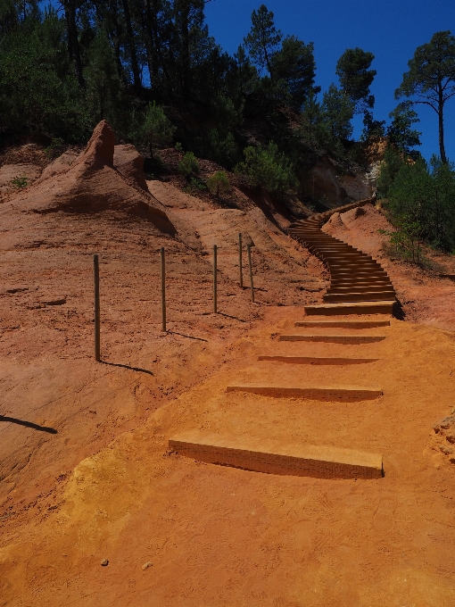 風景 砂 rock 木