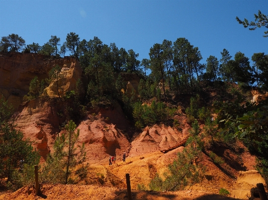 Landscape tree rock wilderness Photo