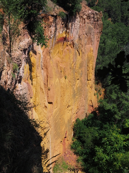 árvore rock trilha formação