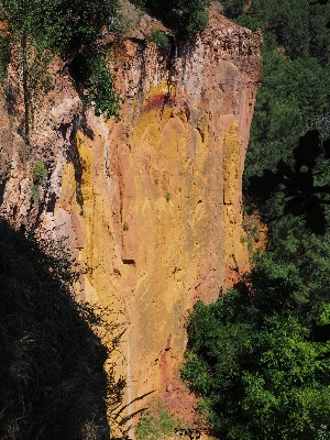 Tree rock trail formation Photo