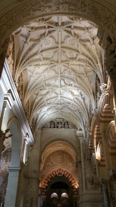 Architecture building arch ceiling