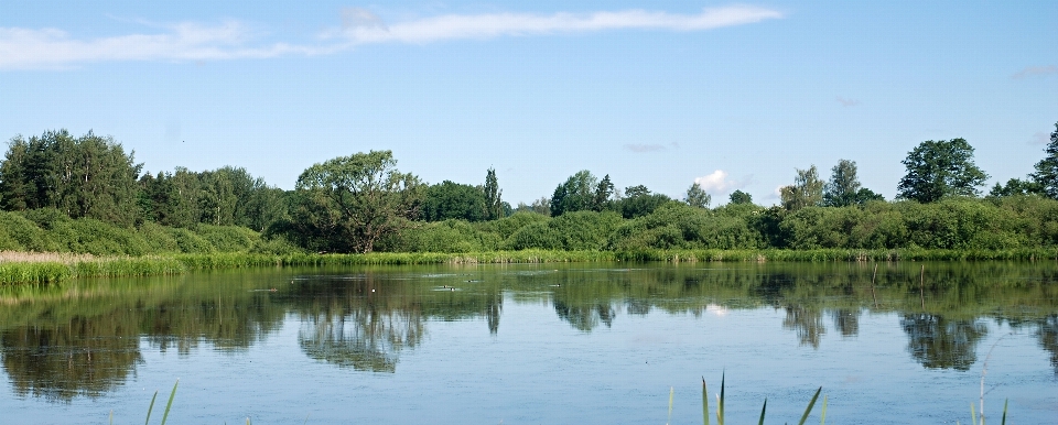 Landschaft wasser natur wald