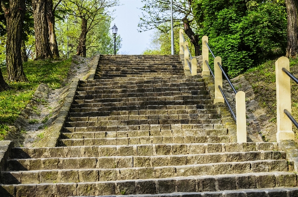 Nature rock wood stair Photo