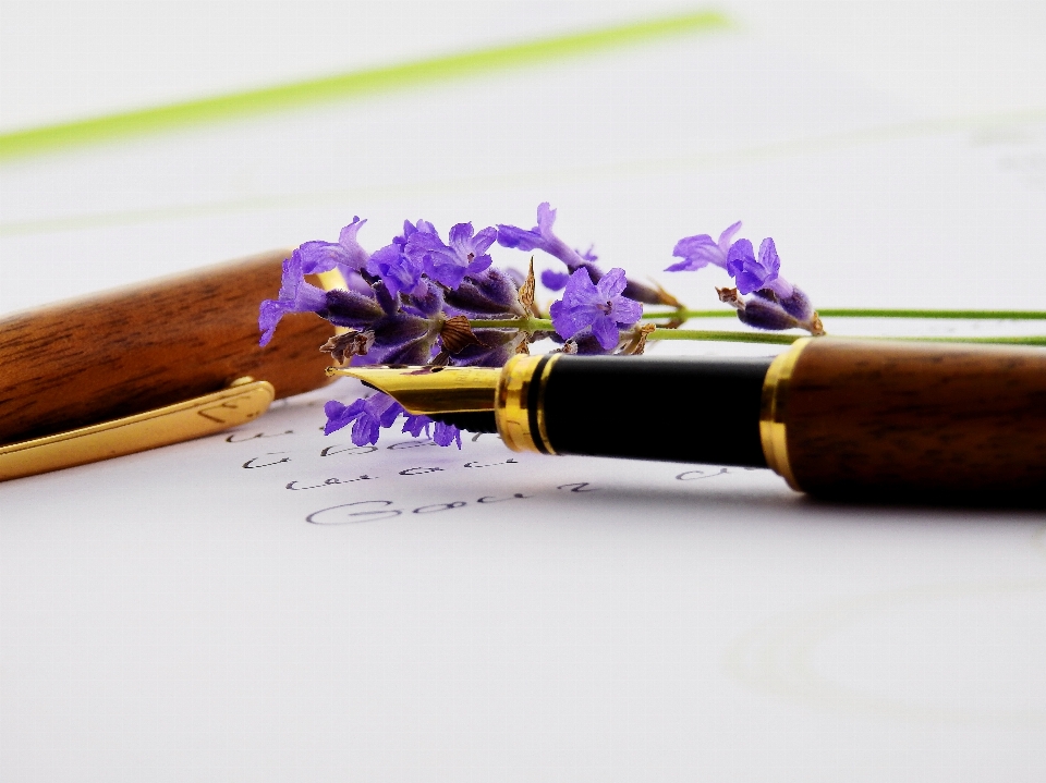 Desk writing blossom pencil