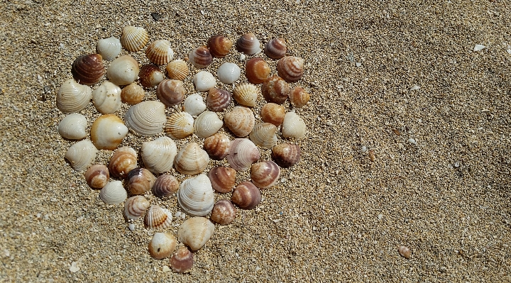 Strand natur sand holz Foto