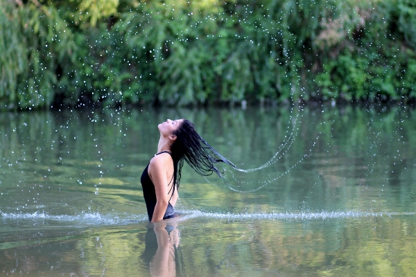 Tree water nature forest Photo