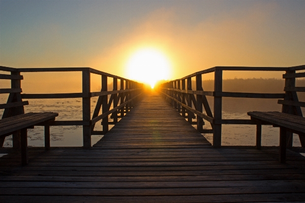 Landscape nature light boardwalk Photo