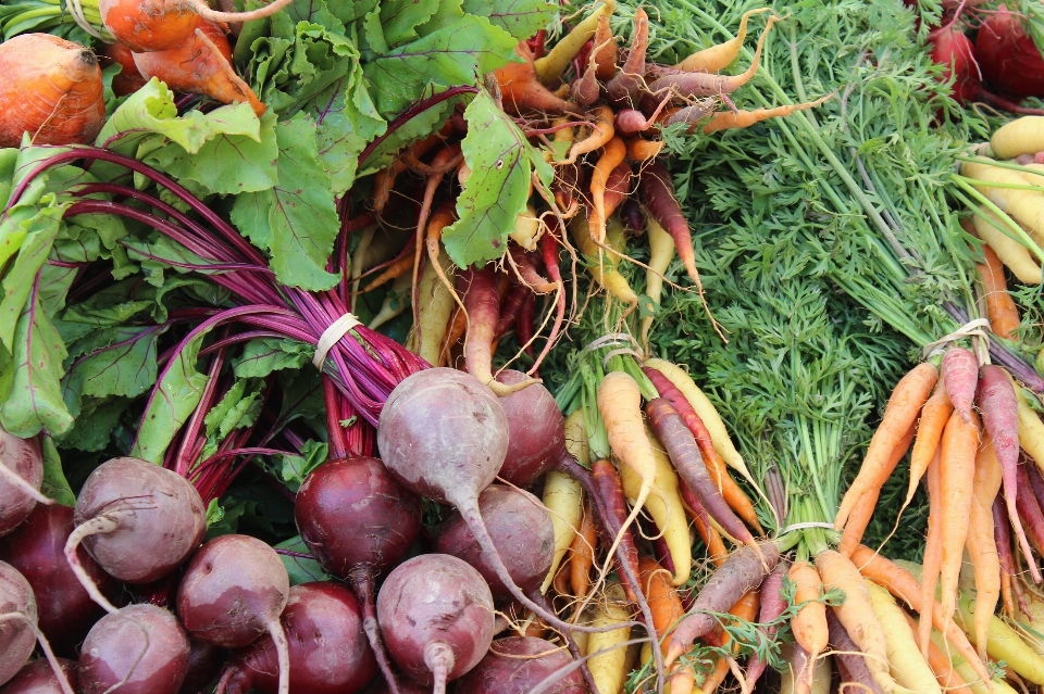 Pianta cibo rosso raccolto