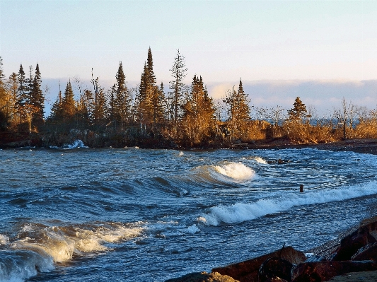 Landscape sea coast tree Photo