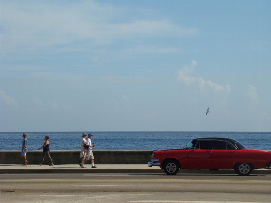 Beach sea coast nature Photo