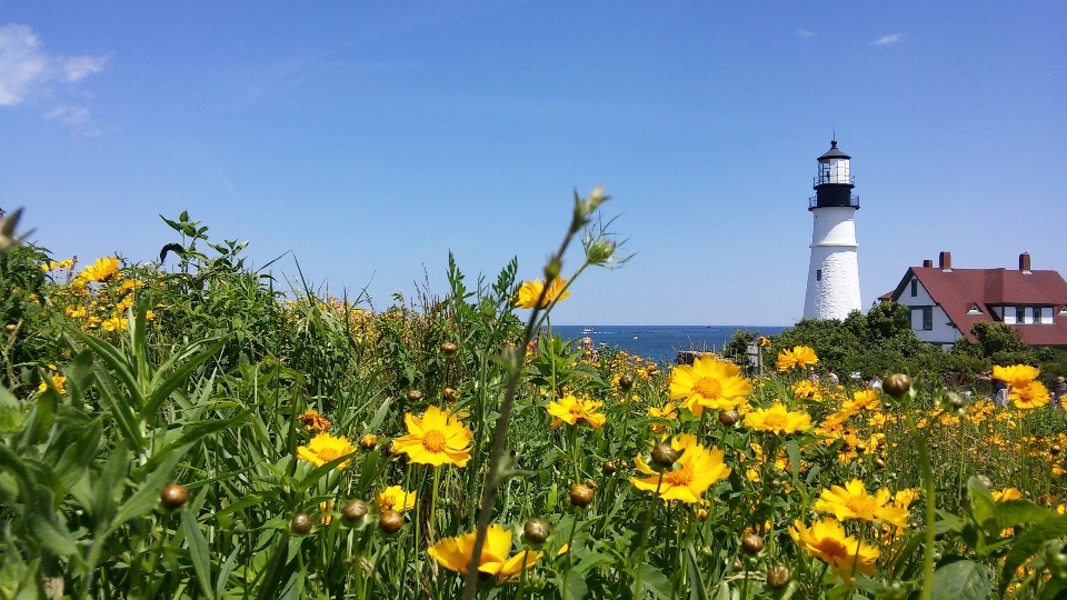 Mer côte océan phare