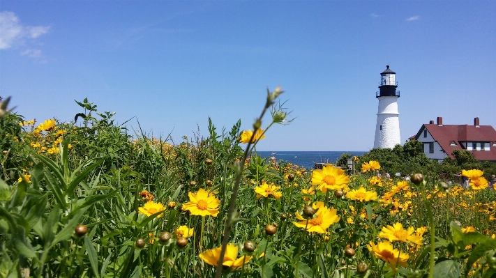 Sea coast ocean lighthouse Photo