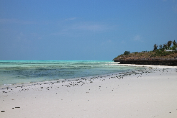 Beach sea coast water Photo