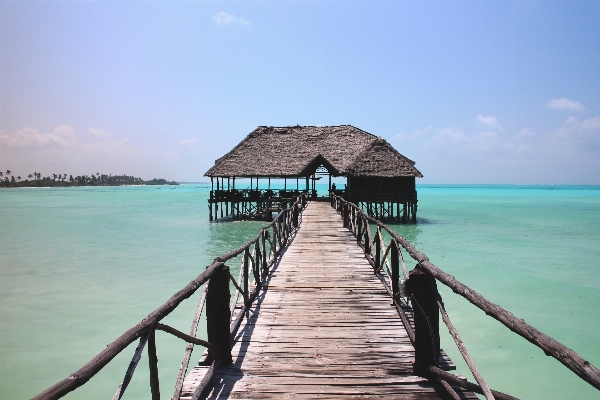 Beach sea coast water Photo