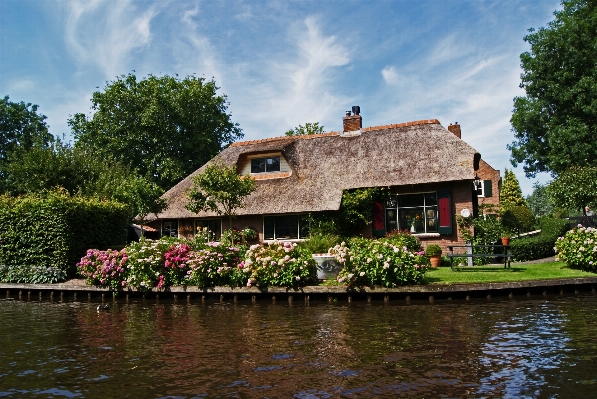 Tree farm house flower Photo