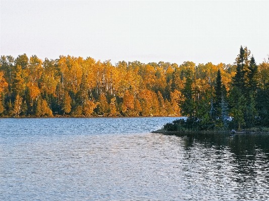 Landscape tree water nature Photo