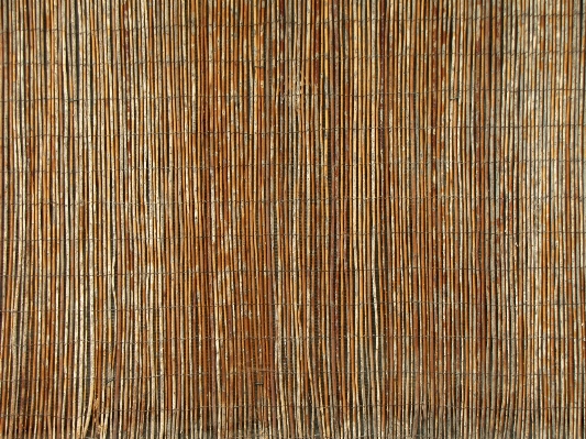 Fence wood texture floor Photo