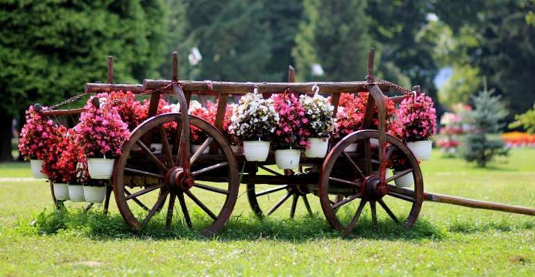 Farm cart flower rustic Photo