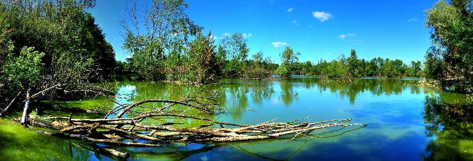 Krajobraz drzewo woda natura