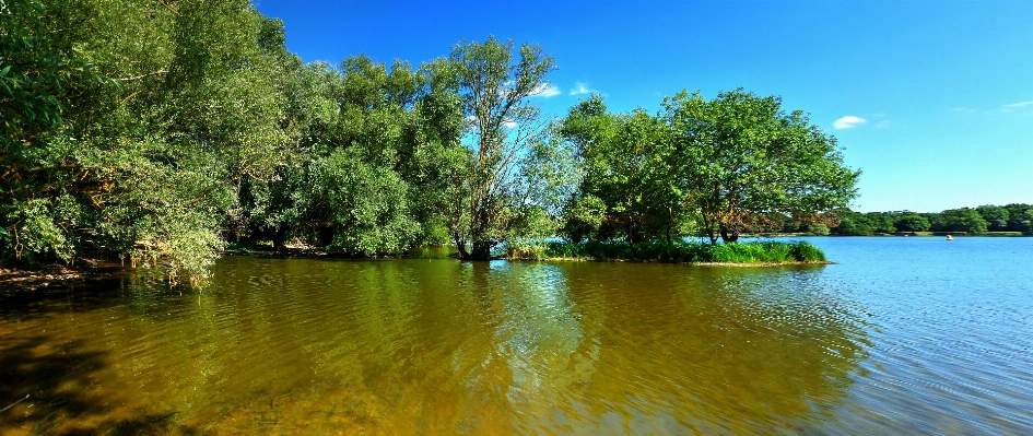 Landscape tree water nature Photo