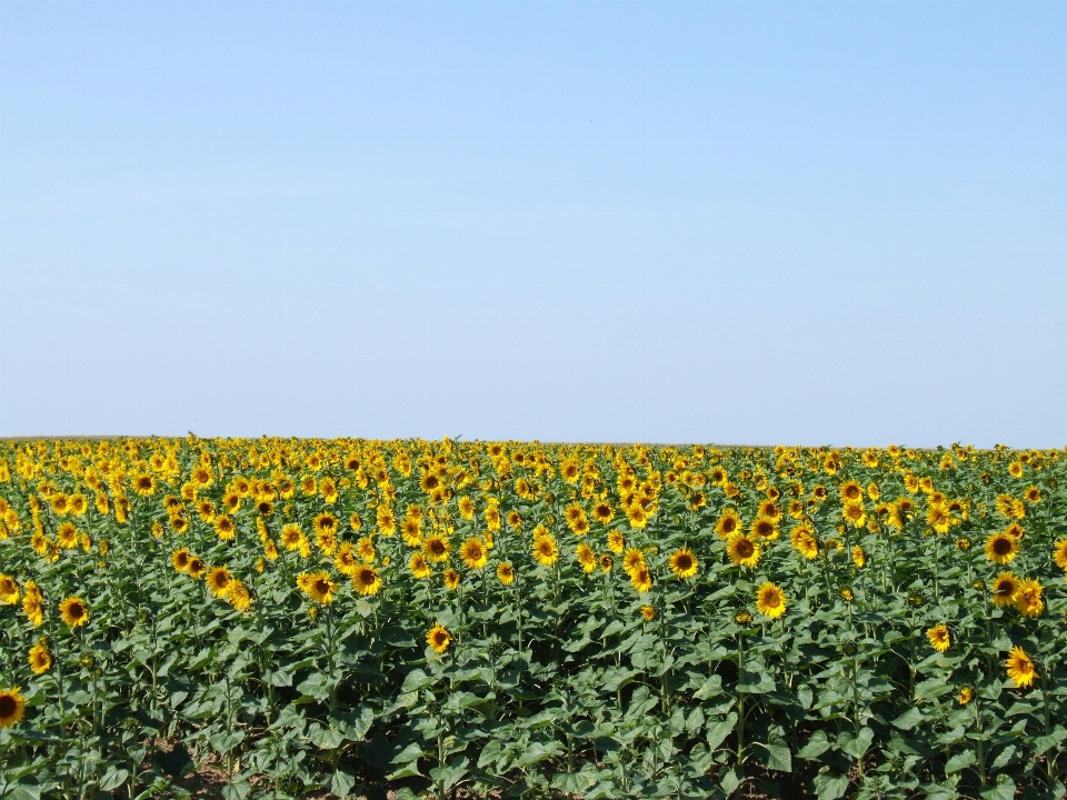 Landschaft natur anlage himmel