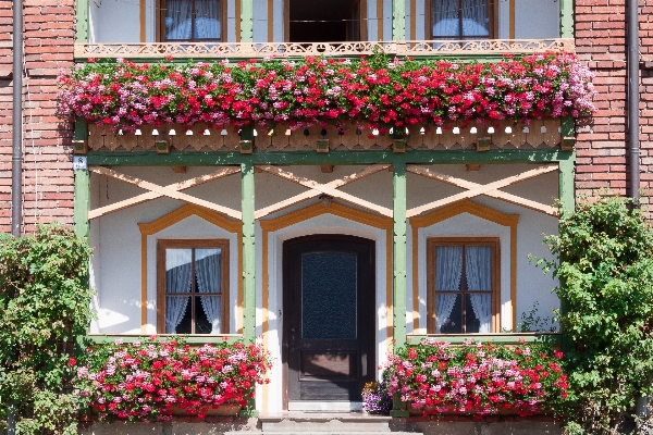 Wood house flower window Photo