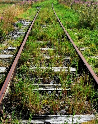 Track railway old train Photo