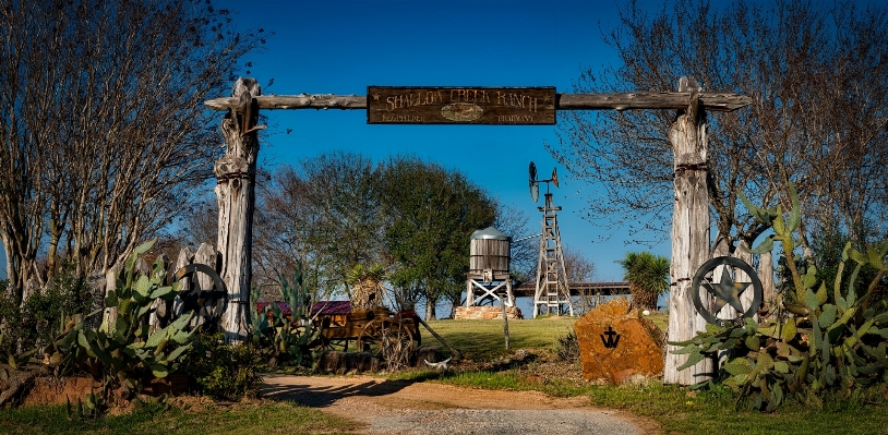 Foto Paisagem cacto
 fazenda cidade