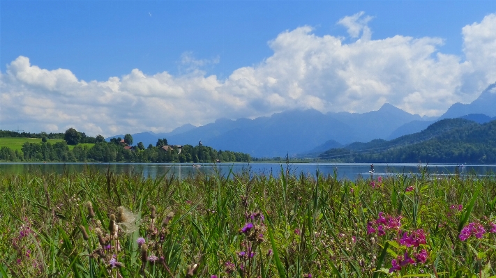 Landscape nature grass horizon Photo