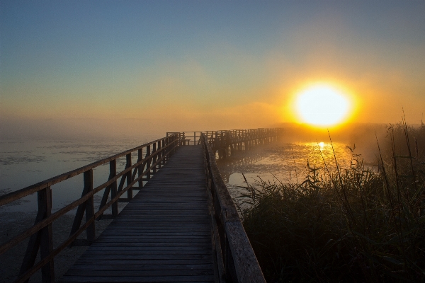 Foto Pantai lanskap laut pesisir