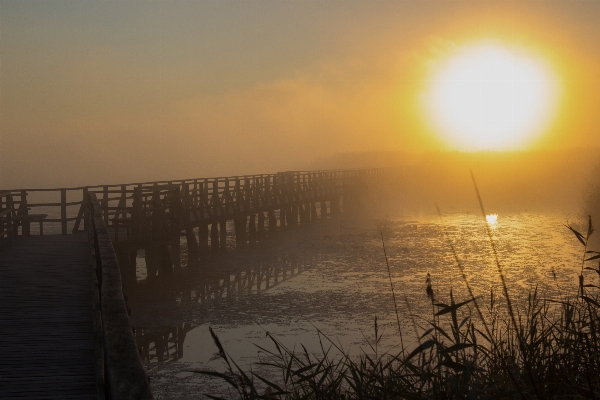 Landscape sea coast nature Photo