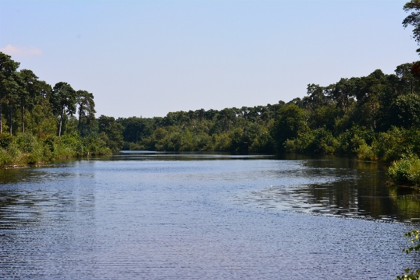 Landscape tree water nature Photo