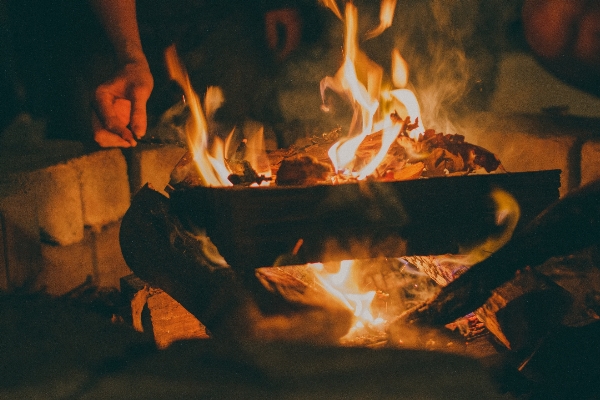 Outdoor wood night ground Photo