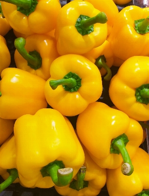 植物 フルーツ 食べ物 生産 写真