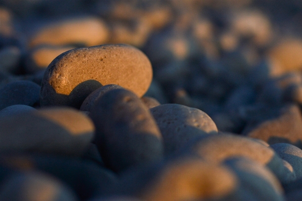 Foto Pantai alam rock tanaman