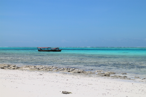 Beach sea coast sand Photo