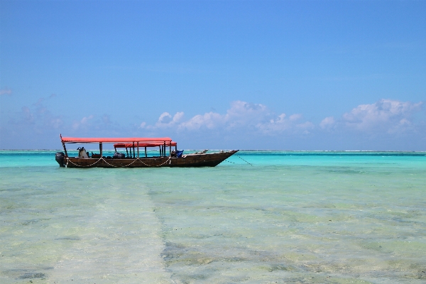 Beach sea coast sand Photo