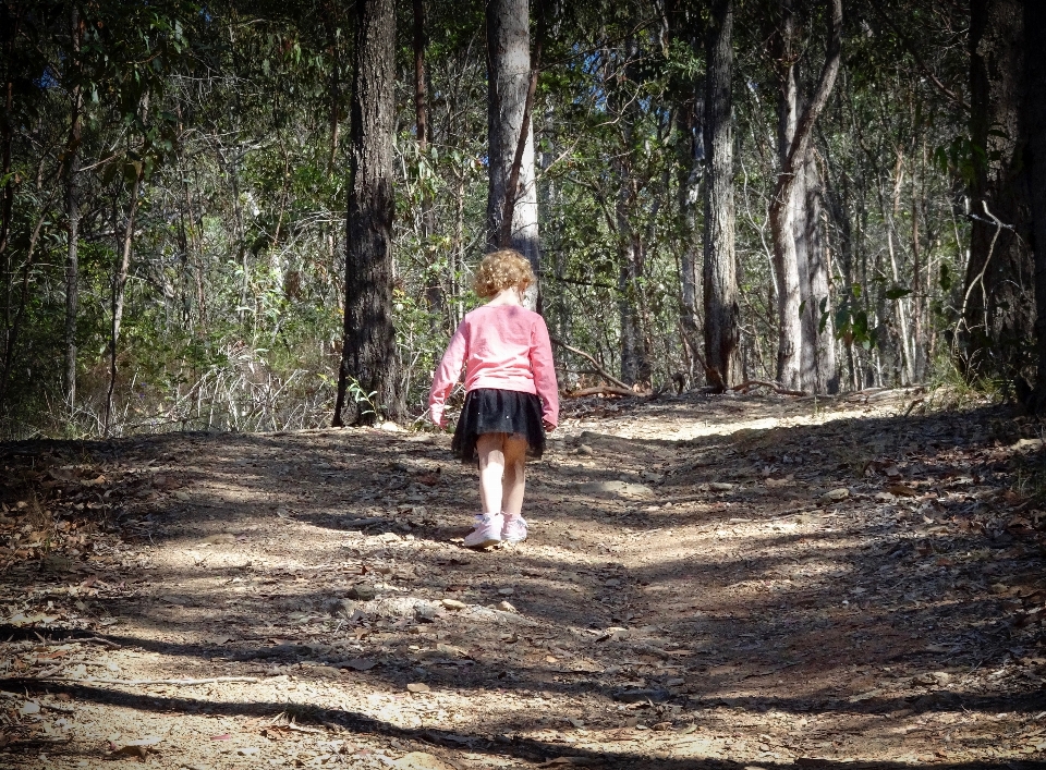 Nature forest walking people