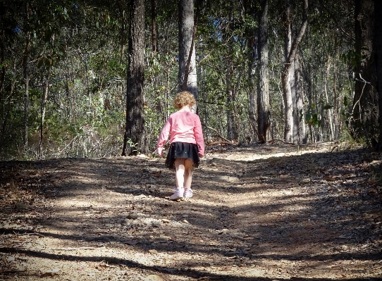 Nature forest walking people Photo