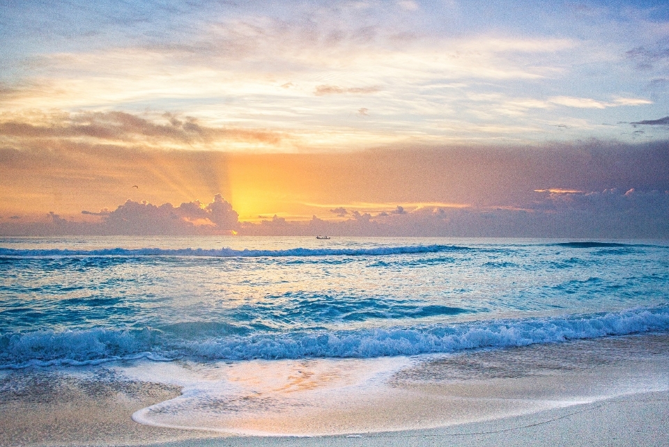 海滩 景观 海 海岸