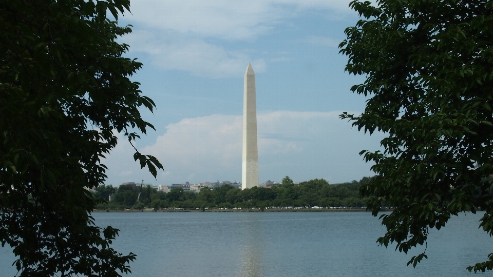 Baum wasser monument turm