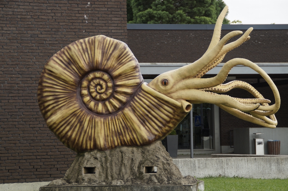 Natur holz tier monument