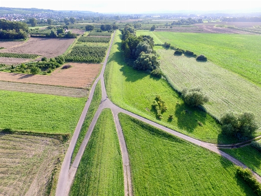 Landscape grass road field Photo