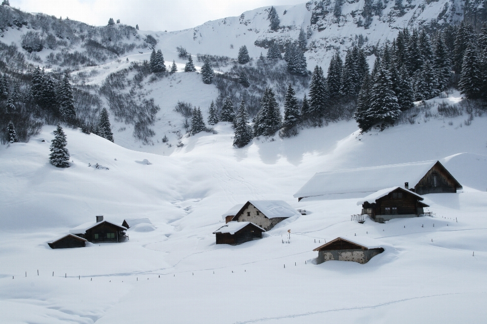 Montagna nevicare freddo inverno