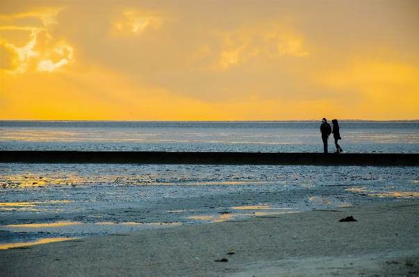 ビーチ 風景 海 海岸 写真