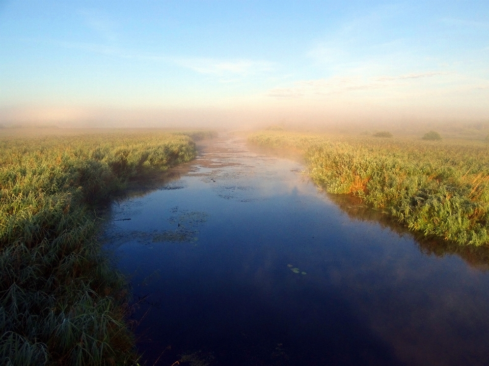 Paisagem árvore água natureza