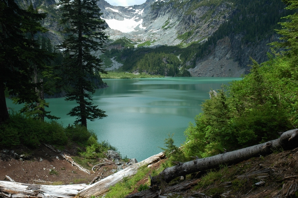 風景 水 自然 森