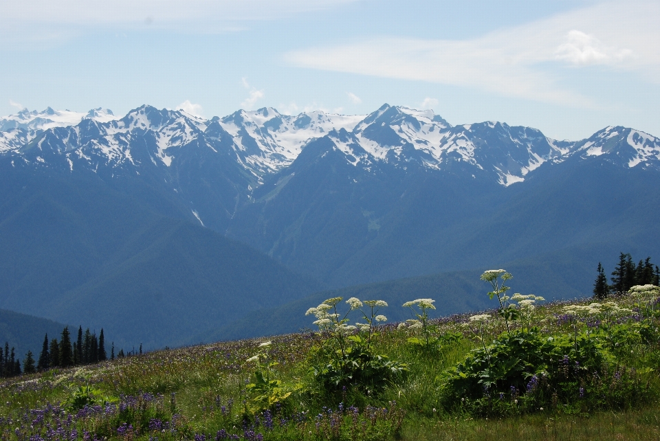 Landscape nature wilderness walking