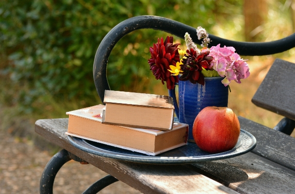 Apple book read wheel Photo